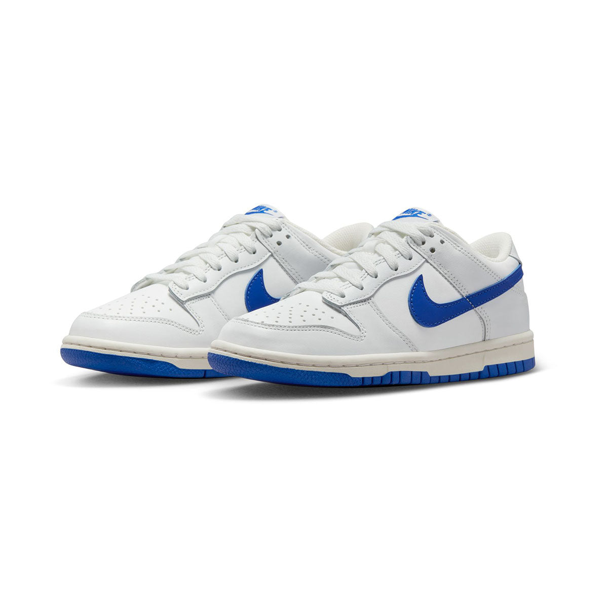Nike Dunk Low Big Kids' Shoes