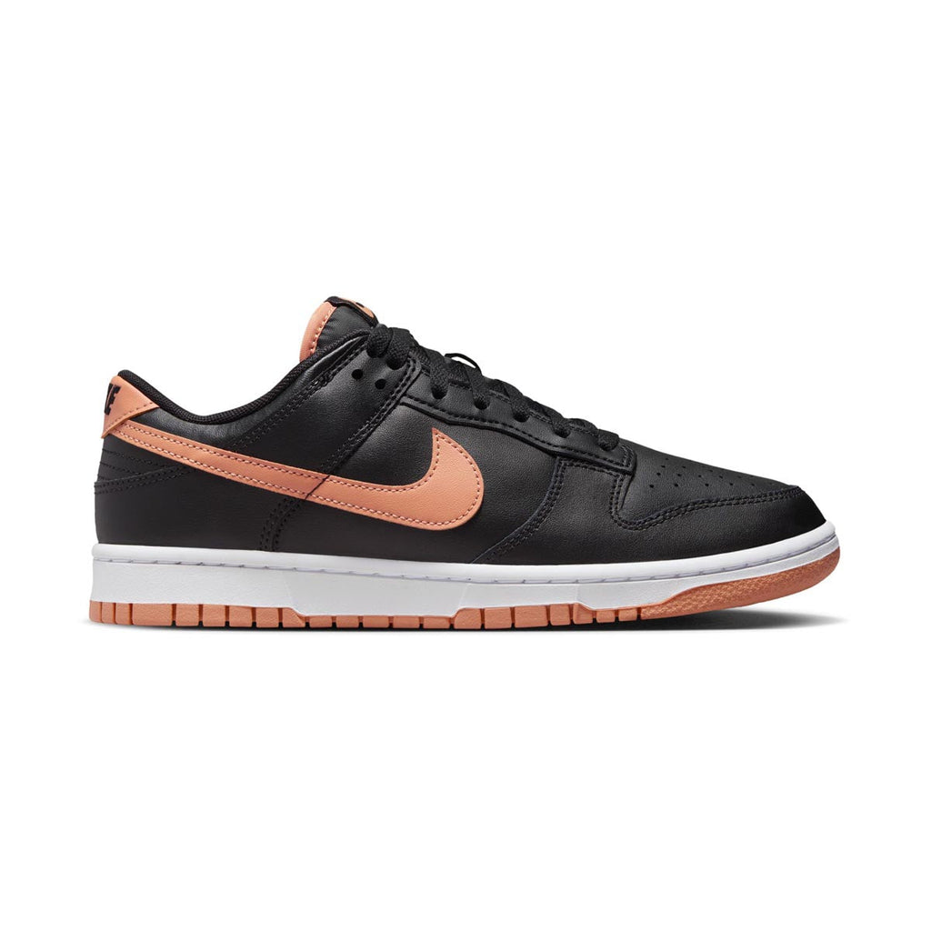 Nike Dunk Low Retro Men's Shoes