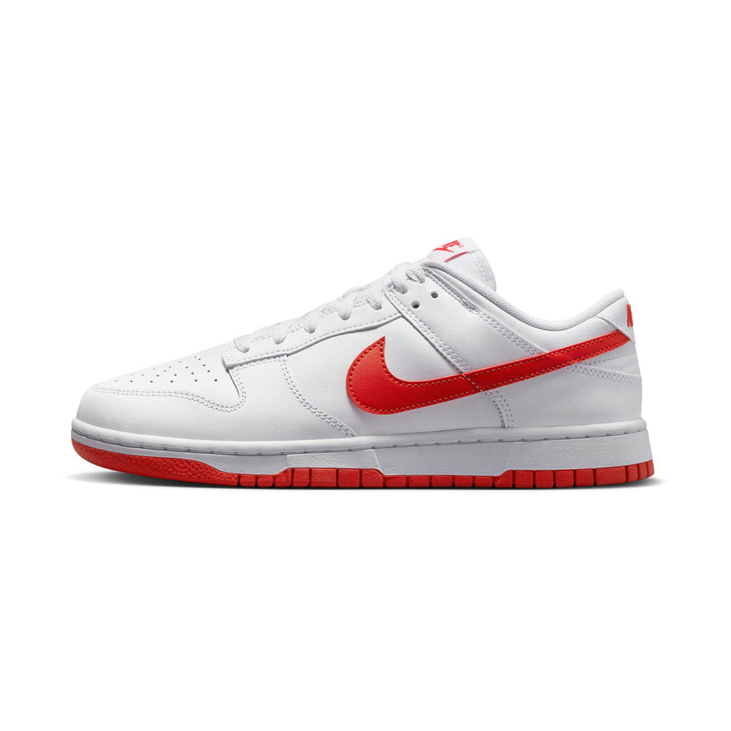 Nike Dunk Low Retro Men's Shoes
