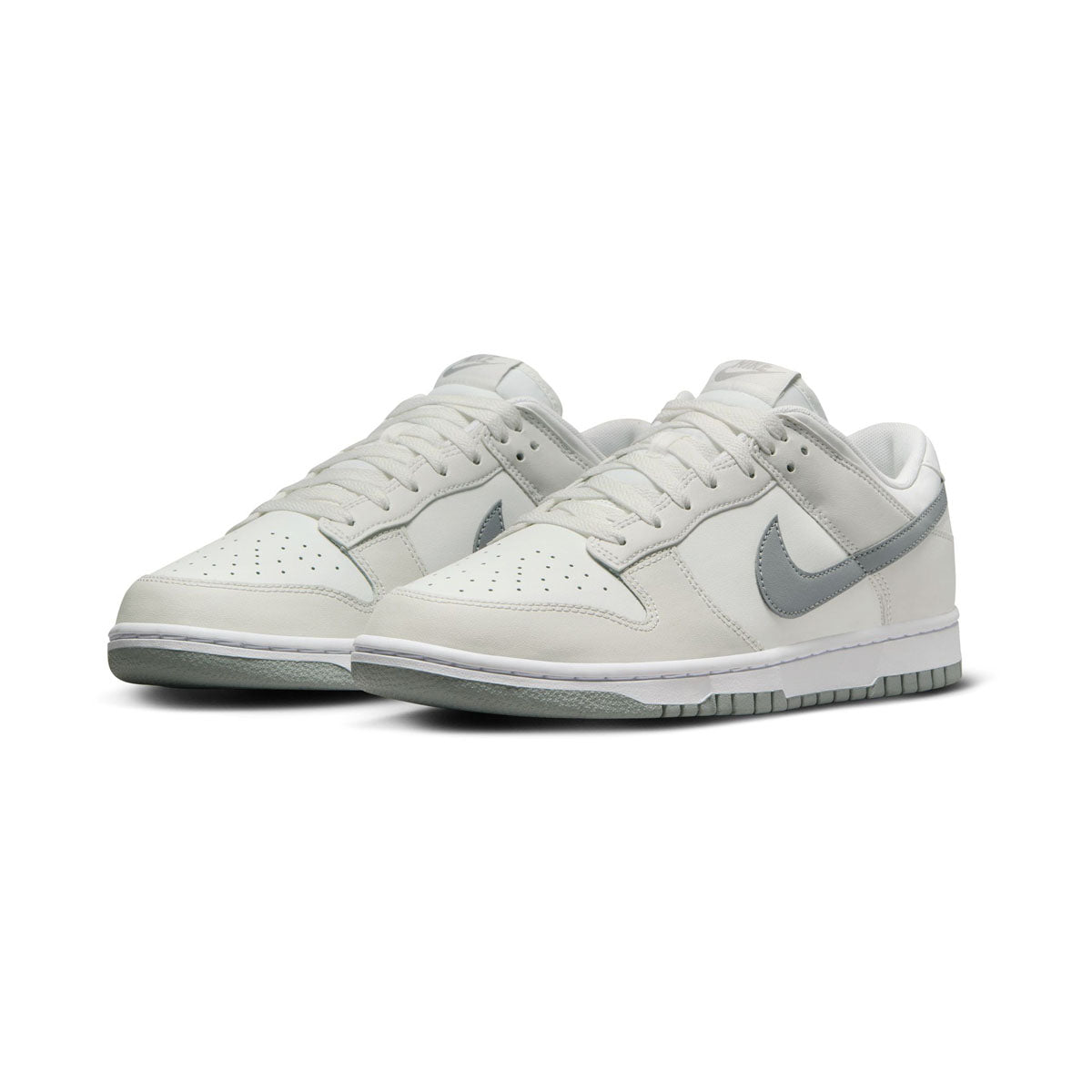 Nike Dunk Low Retro Men's Shoes