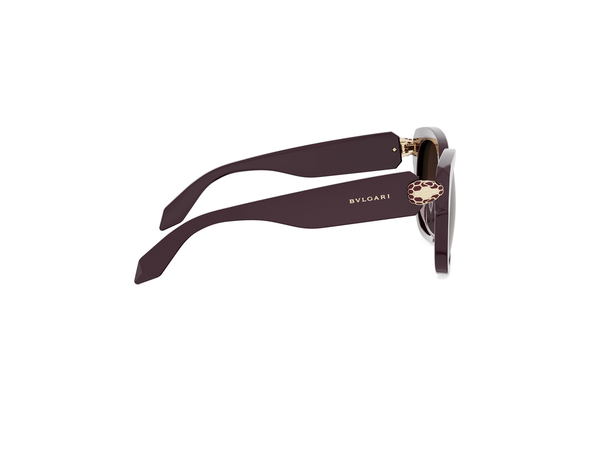 Square Acetate Sunglasses