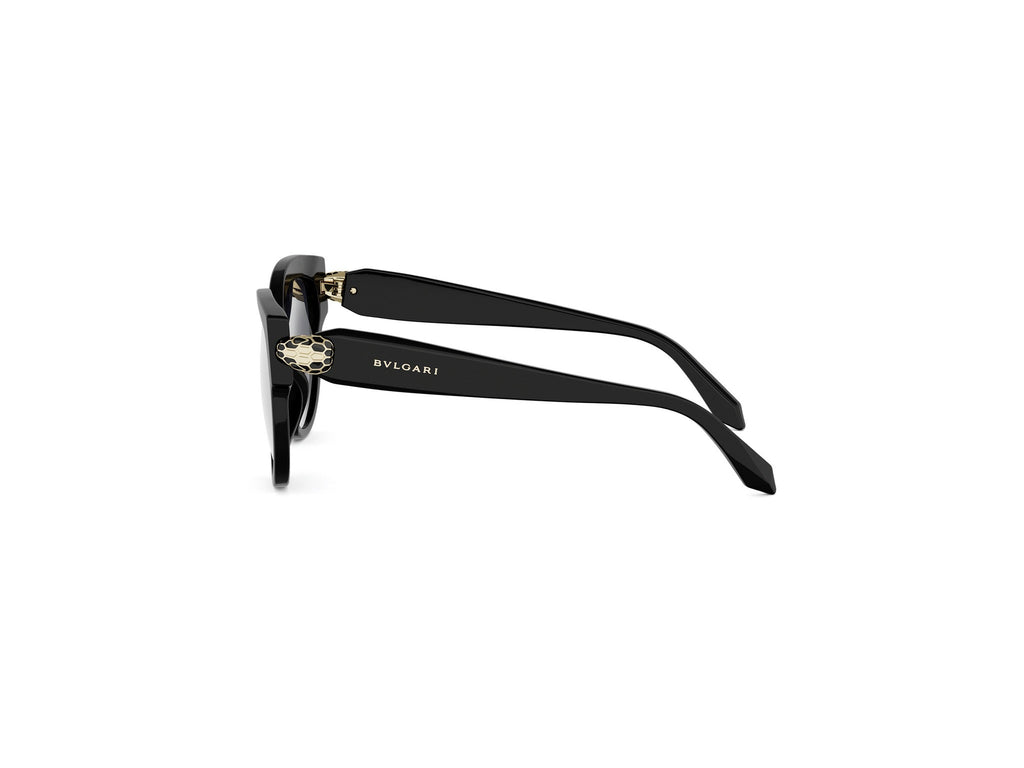Black Pantos Acetate Sunglasses
