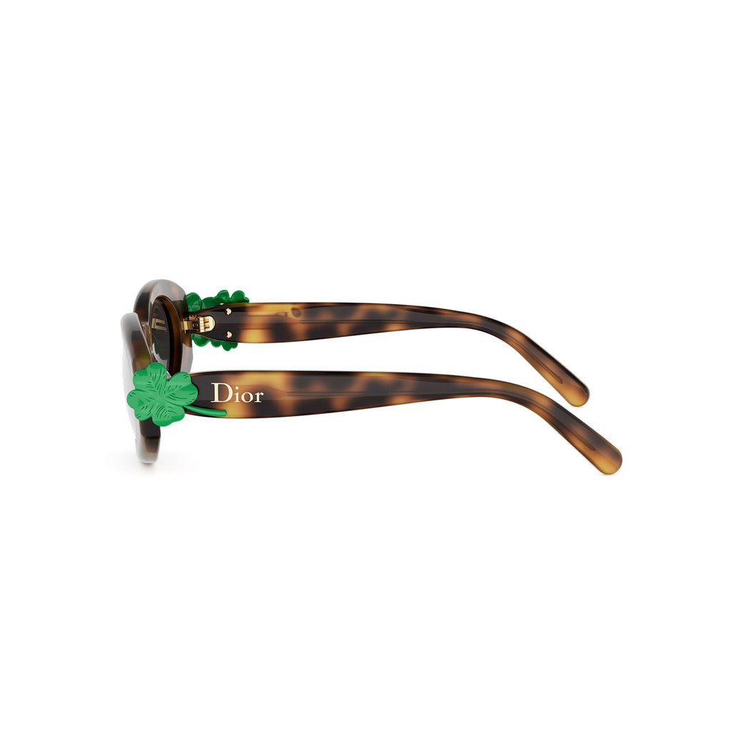 Shiny Oval Acetate Sunglasses