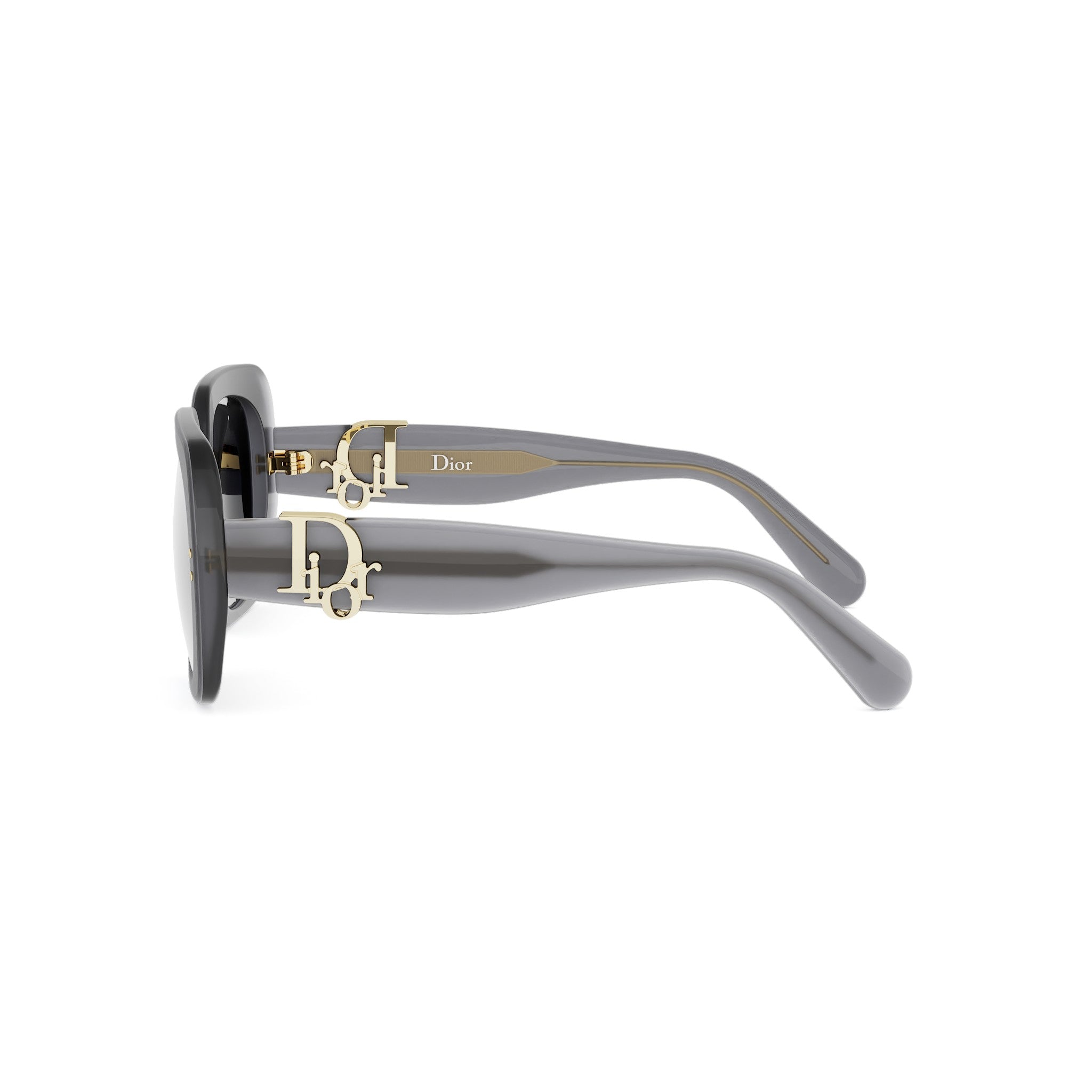 Shiny Square Acetate Sunglasses