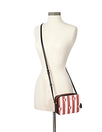 Coach Mini Camera Bag With Stripe Star Print