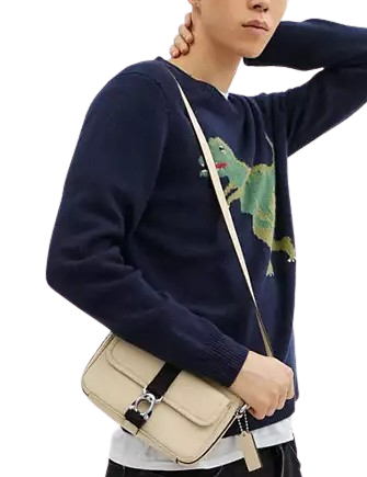 Coach Beck Slim Crossbody In Signature Canvas