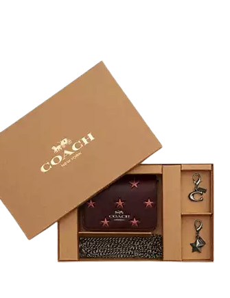 Coach Boxed Mini Wallet On A Chain With Star Print