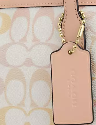 Coach City Tote Bag In Pretty Signature Canvas