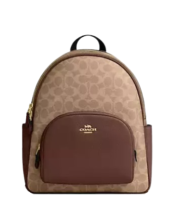Coach Court Backpack In Signature Canvas