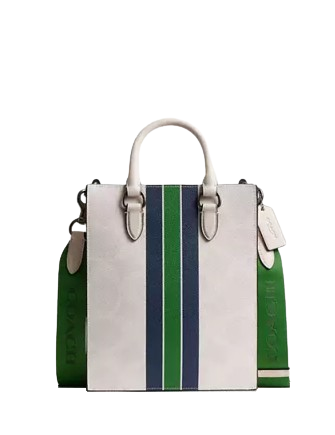 Coach Dylan Tote Bag In Signature Canvas With Varsity Stripe