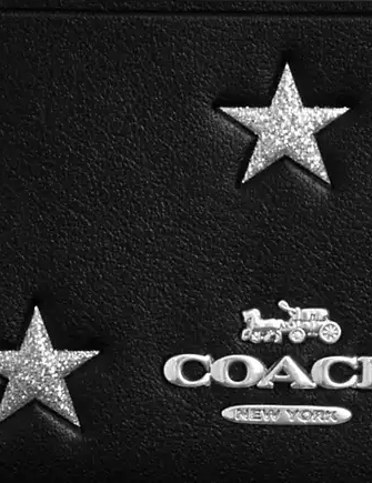Coach Mini Skinny Id Case With Star Print
