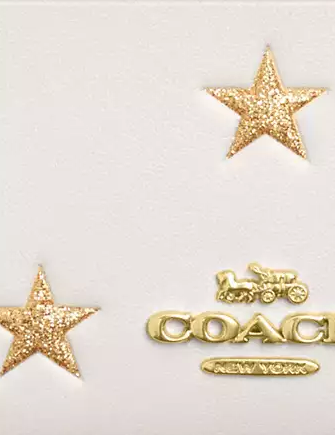 Coach Mini Skinny Id Case With Star Print