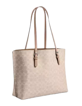 Coach Mollie Tote Bag In Signature Canvas