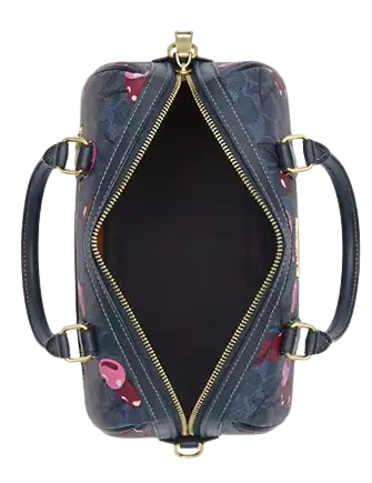Coach Rowan Satchel Bag In Signature Canvas With Cherry Print