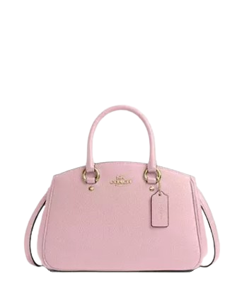 Coach Savannah Small Carryall Bag