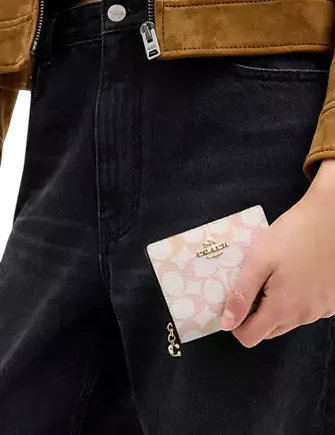 Coach Snap Wallet In Pretty Signature Canvas