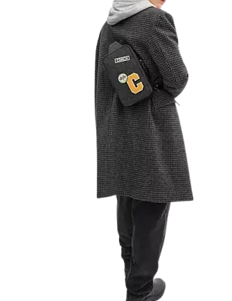 Coach Sullivan Pack In Signature Canvas With Patches