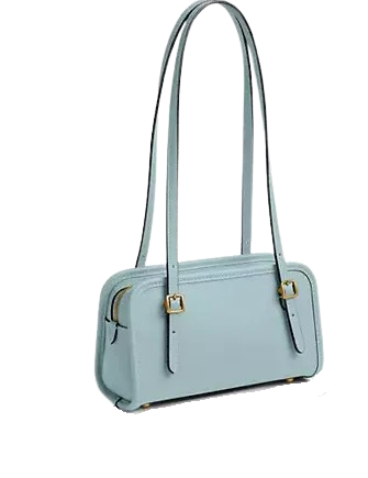 Coach Swing Zip Bag 20