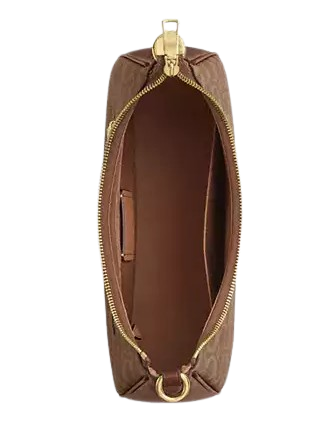 Coach Teri Hobo Bag In Signature Canvas