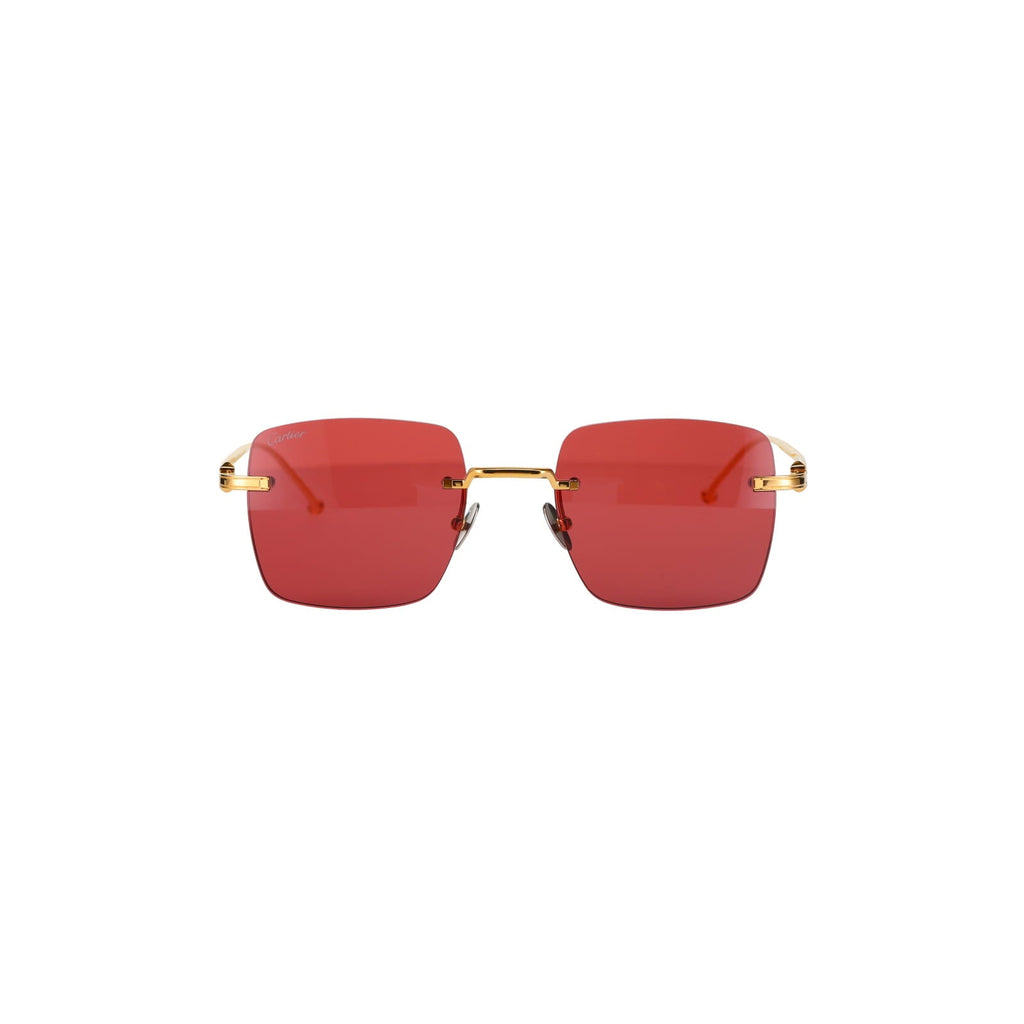 CT0403S Pasha Sunglasses