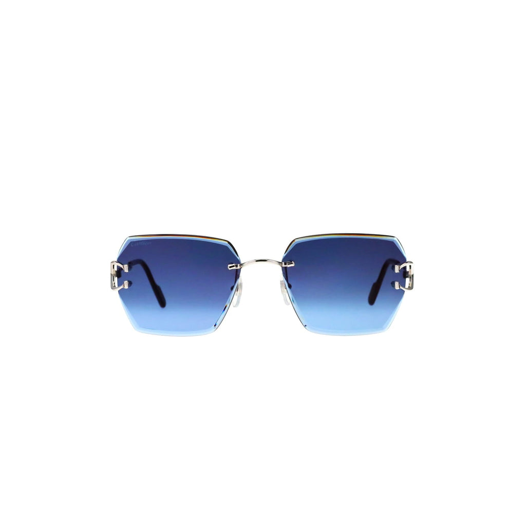 CT0466S  Signature C Sunglasses
