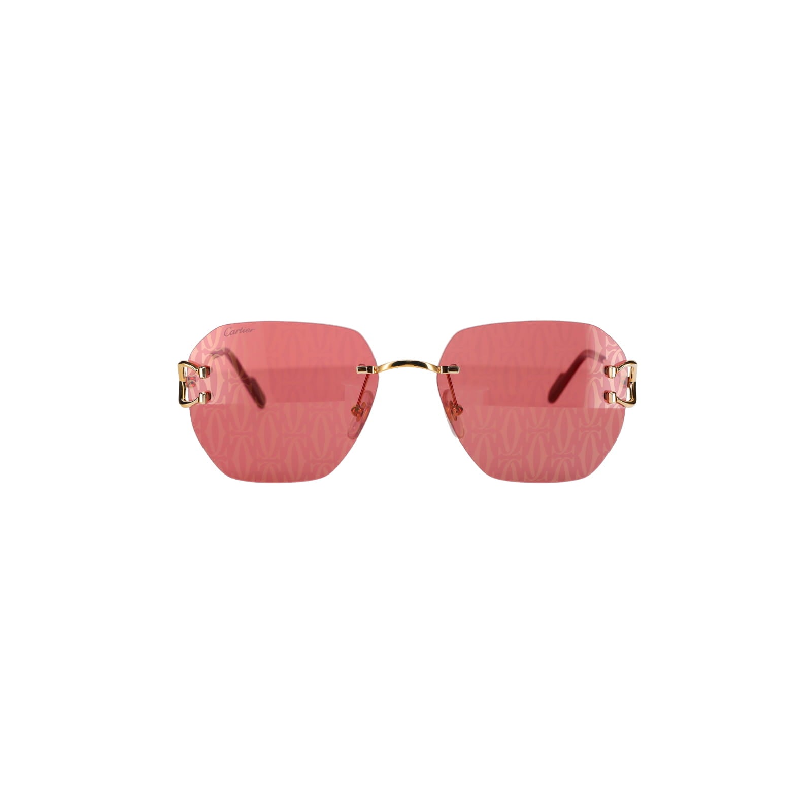 CT0394S Signature C Sunglasses