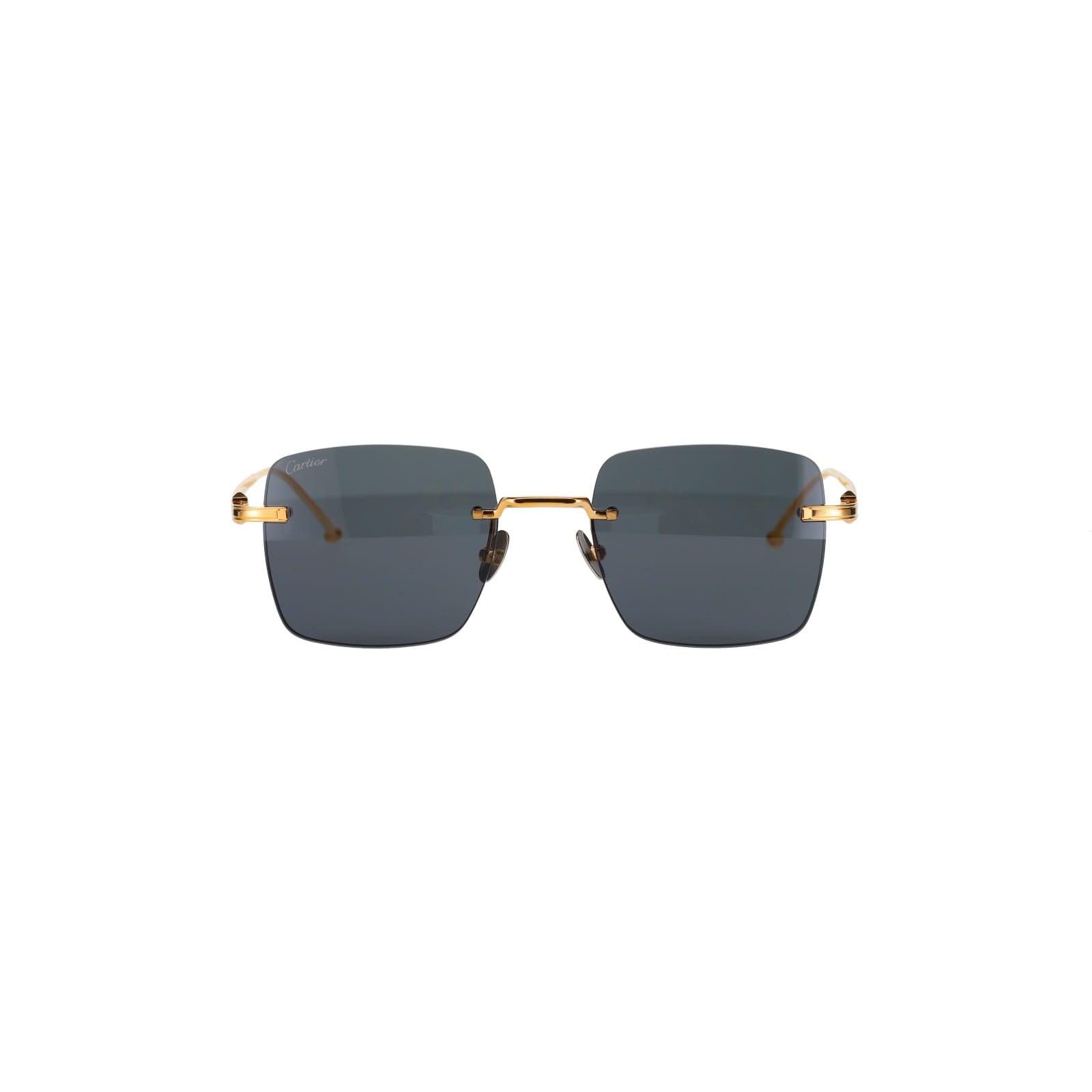 CT0403S Pasha Sunglasses