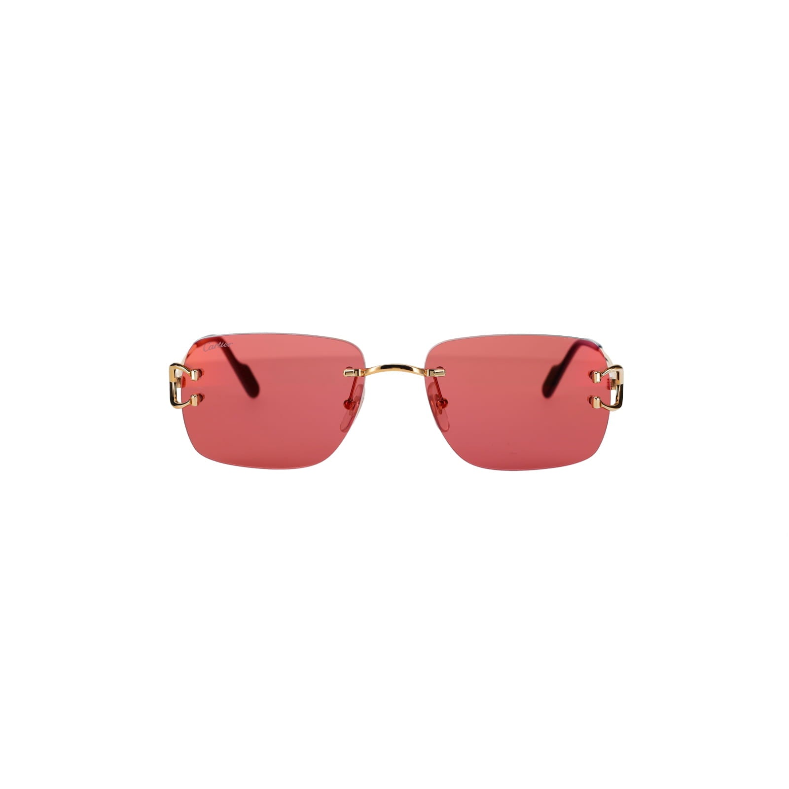 CT0330S Signature C  Sunglasses