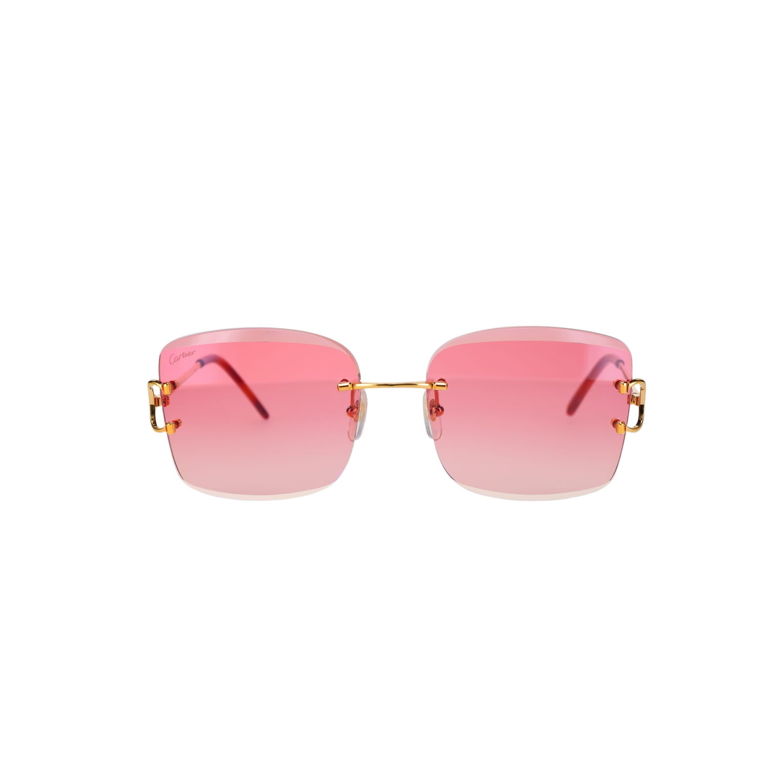 CT0007RS Signature C Sunglasses