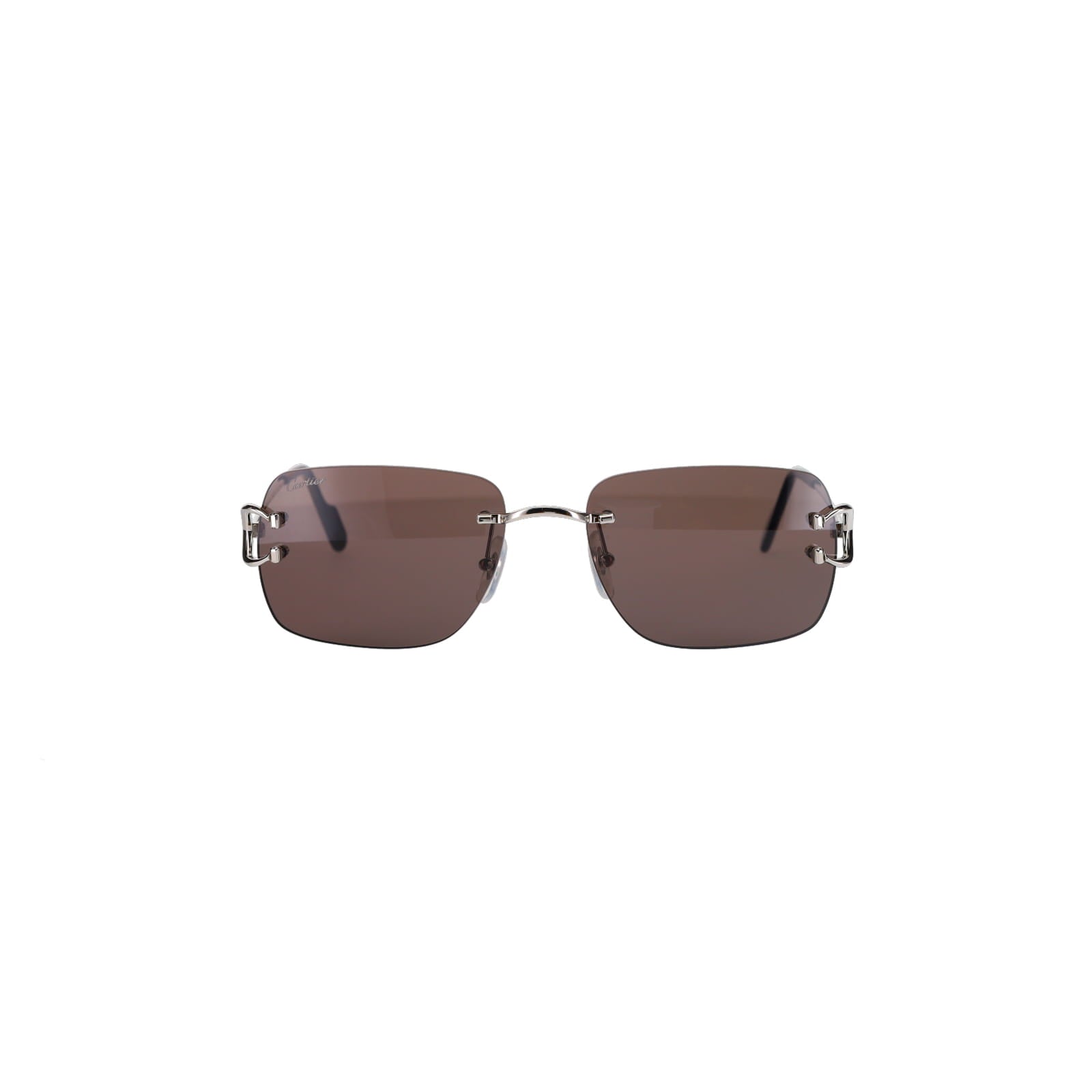 CT0330S Signature C  Sunglasses