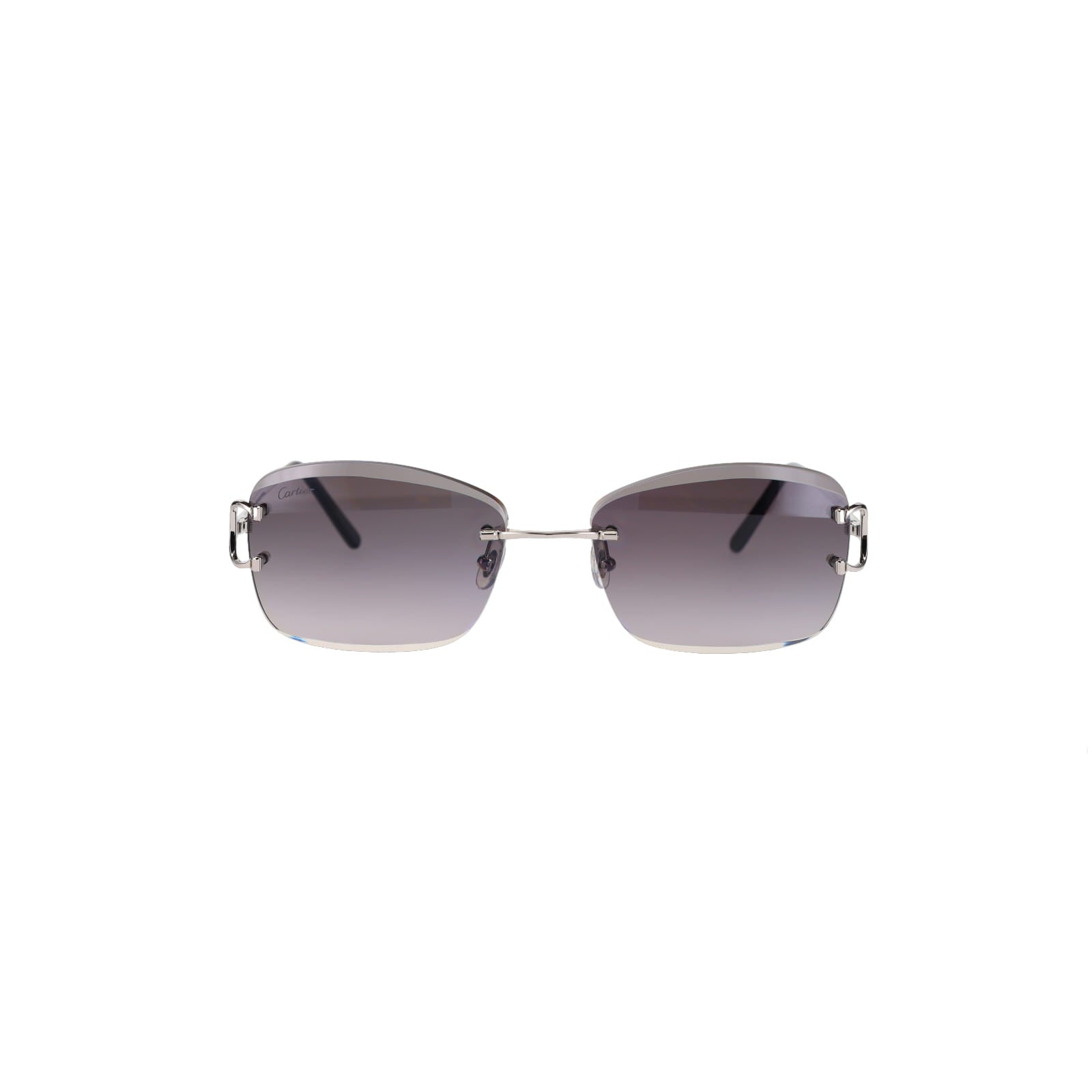 CT0010RS Signature C Sunglasses