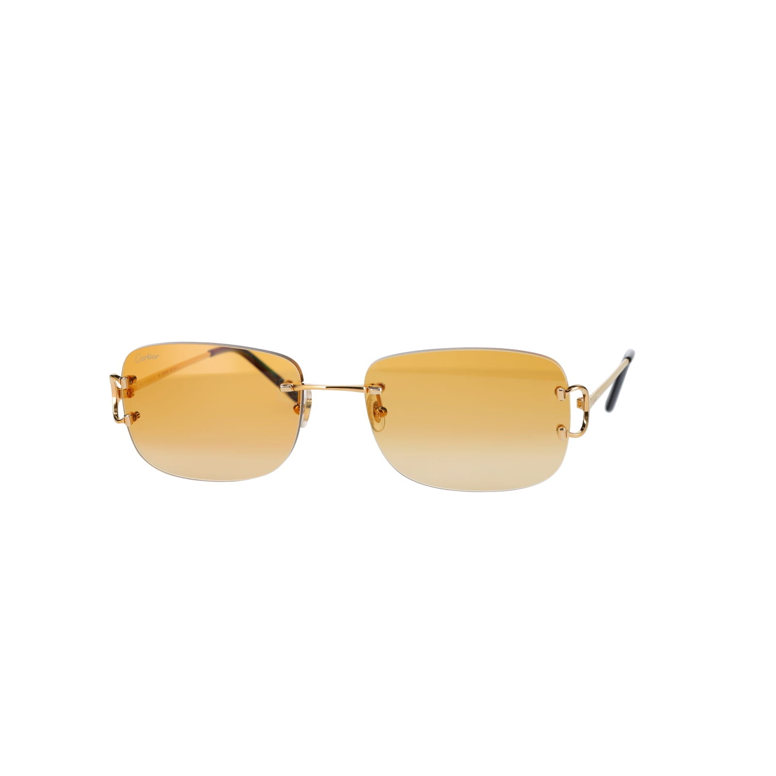 CT0011RS Signature C Sunglasses