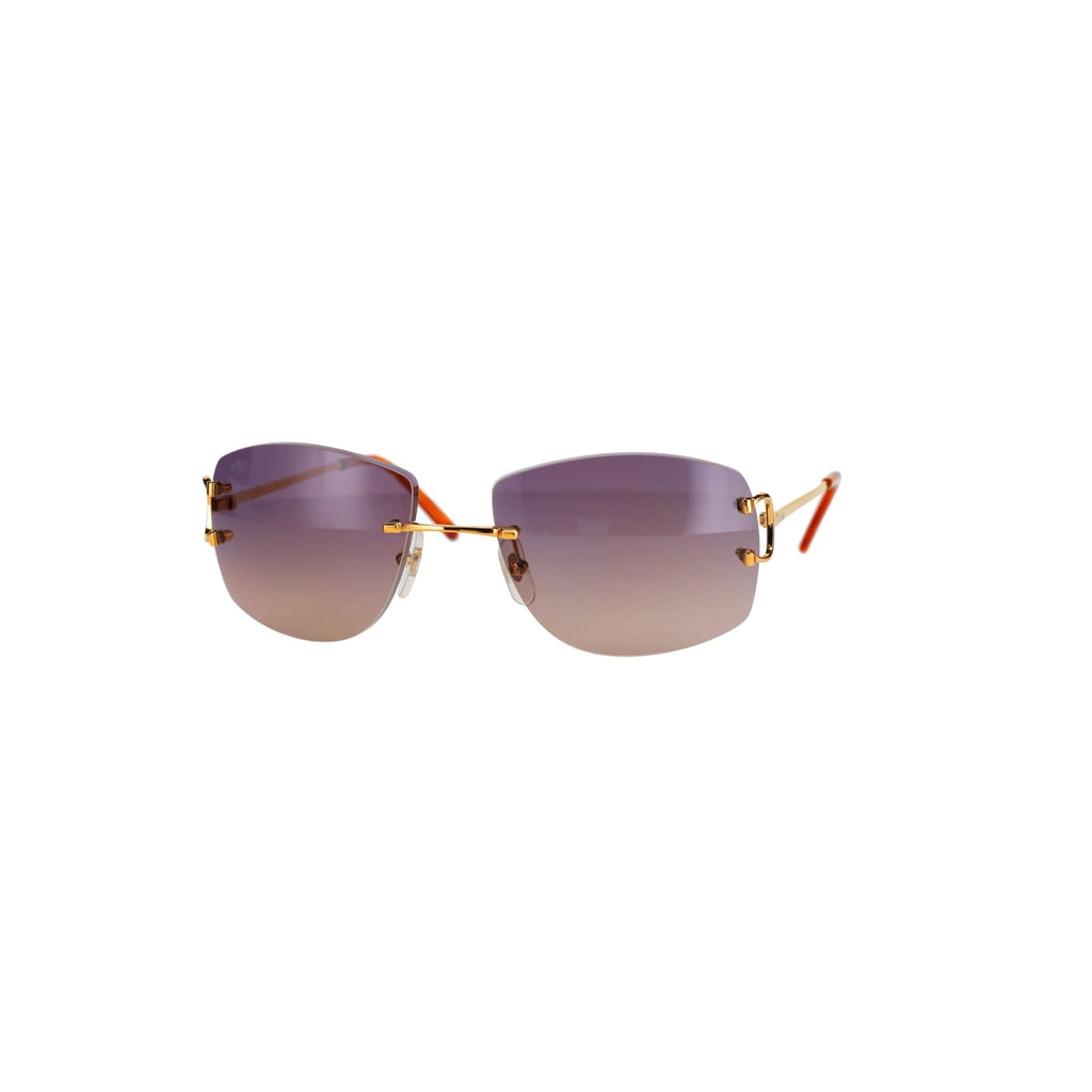CT0008RS Signature C Sunglasses