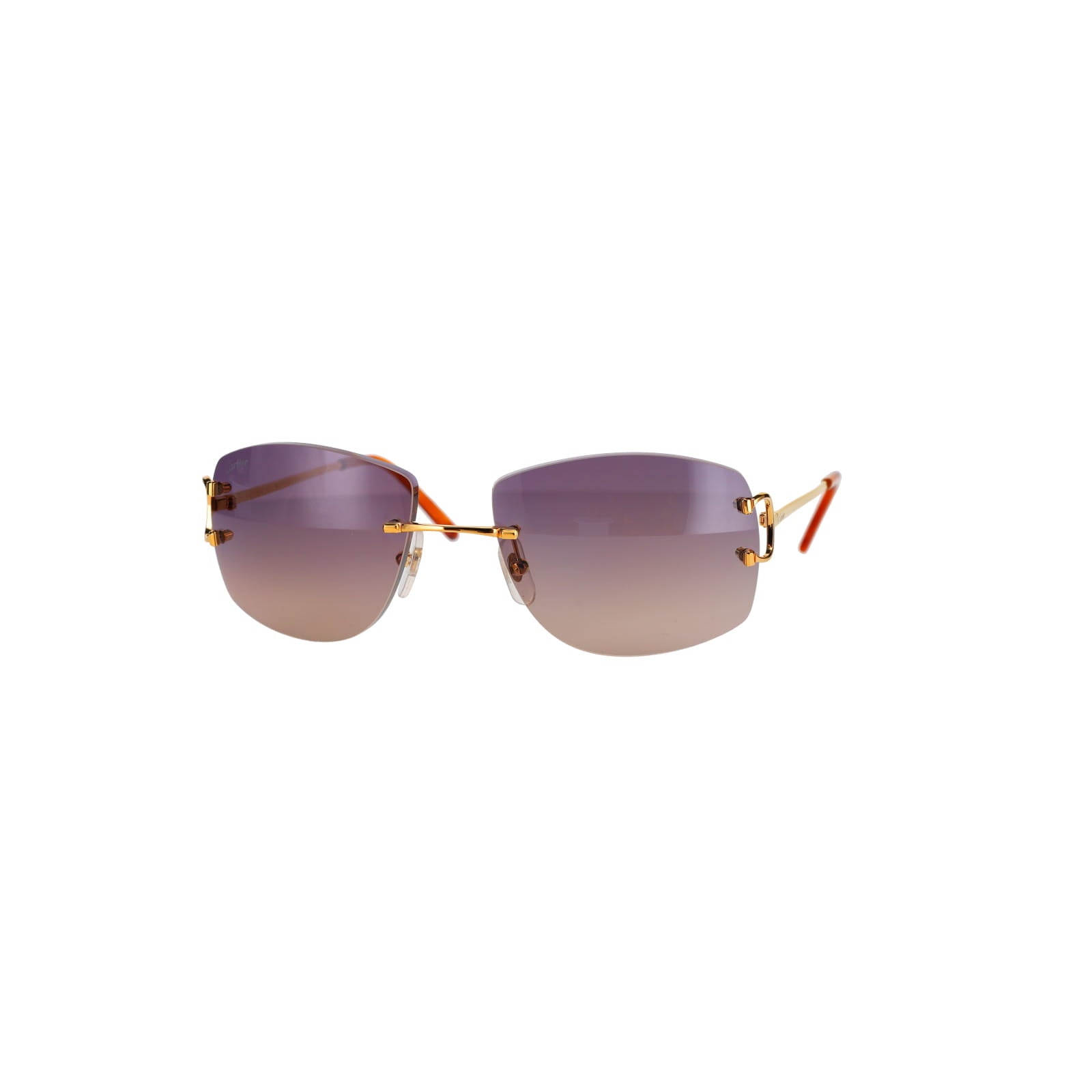 CT0008RS Signature C Sunglasses