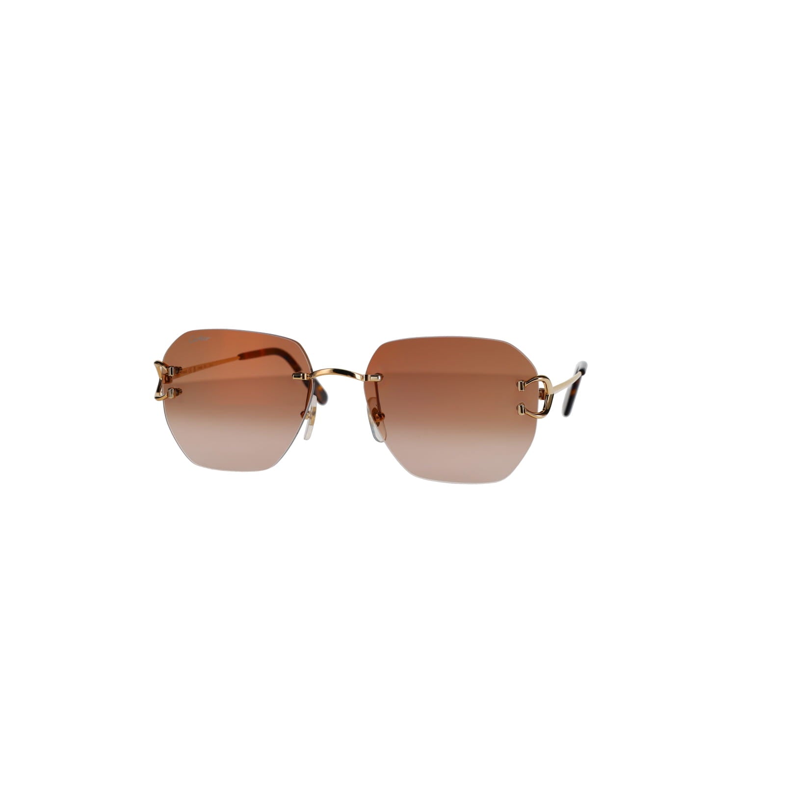 CT0394S Signature C Sunglasses