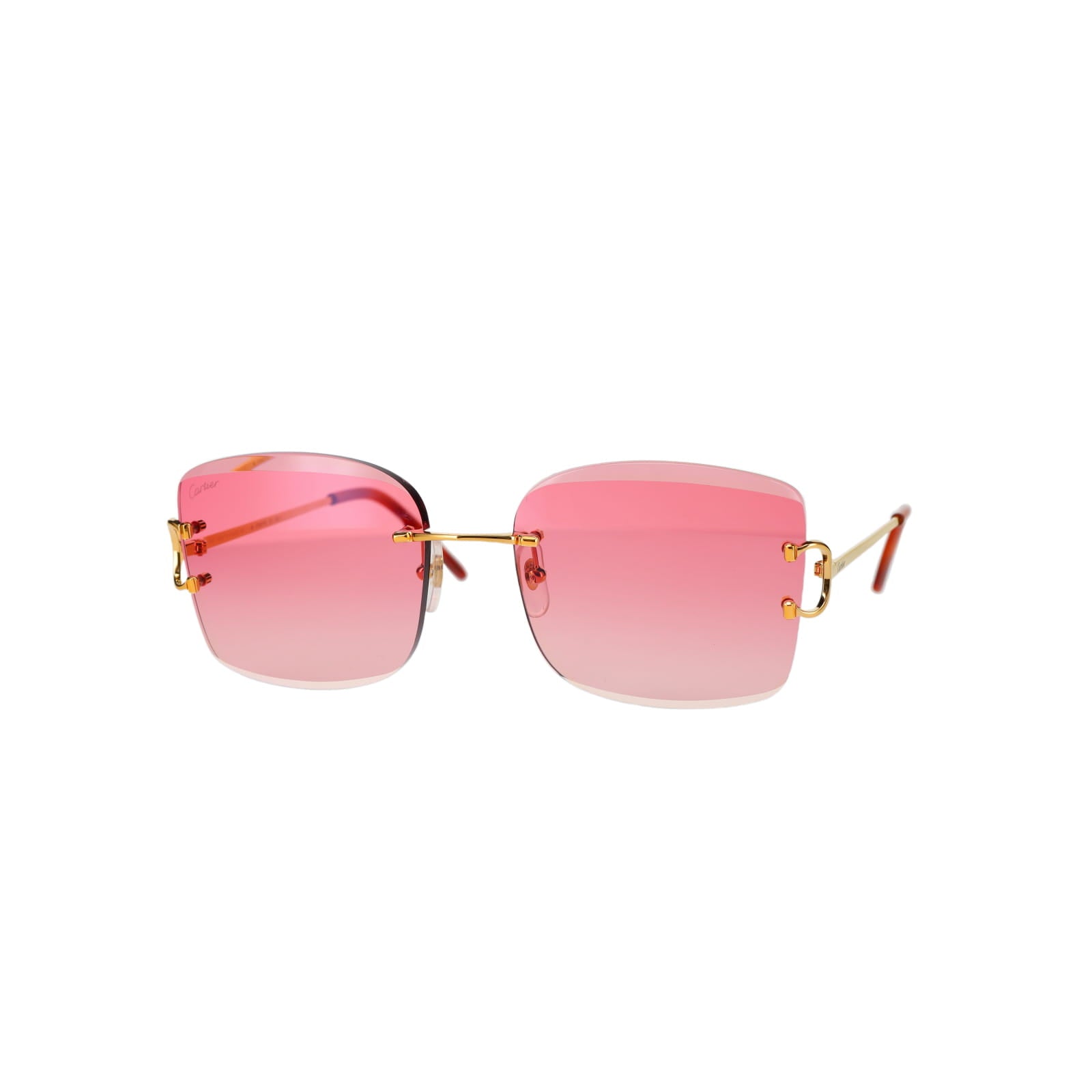 CT0007RS Signature C Sunglasses
