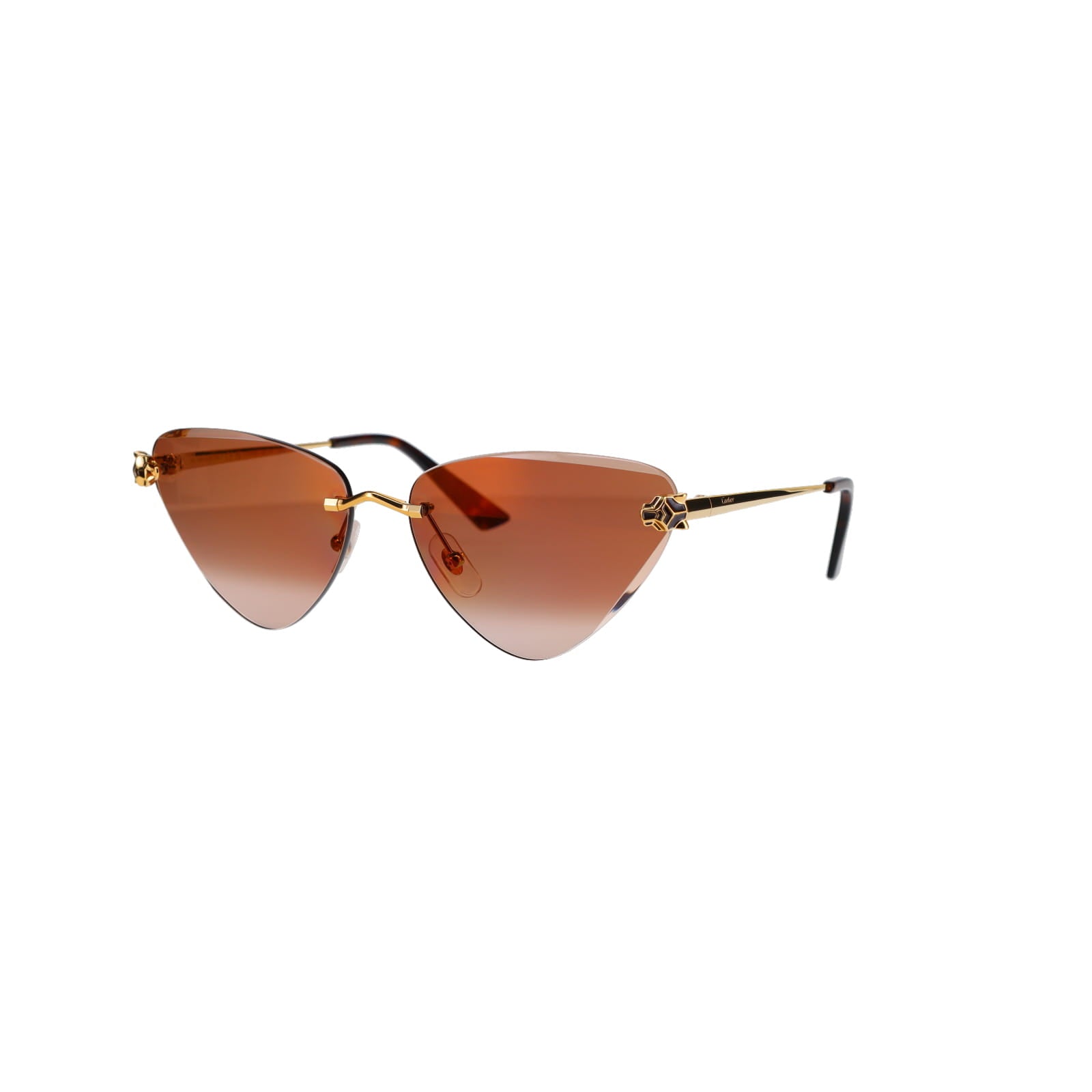 CT0399S Geometric Panthère Sunglasses