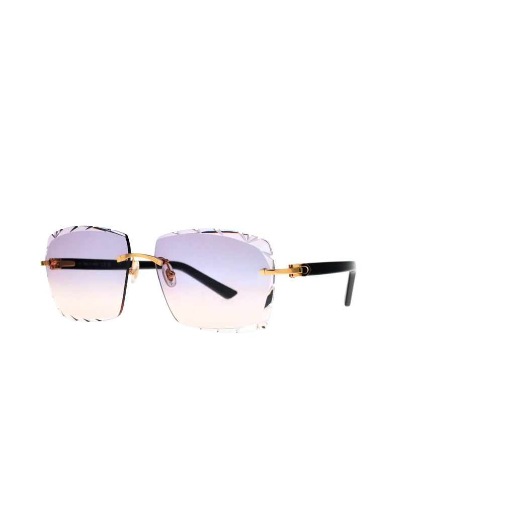 Cartier Custom C Décor Acetate Sunglasses