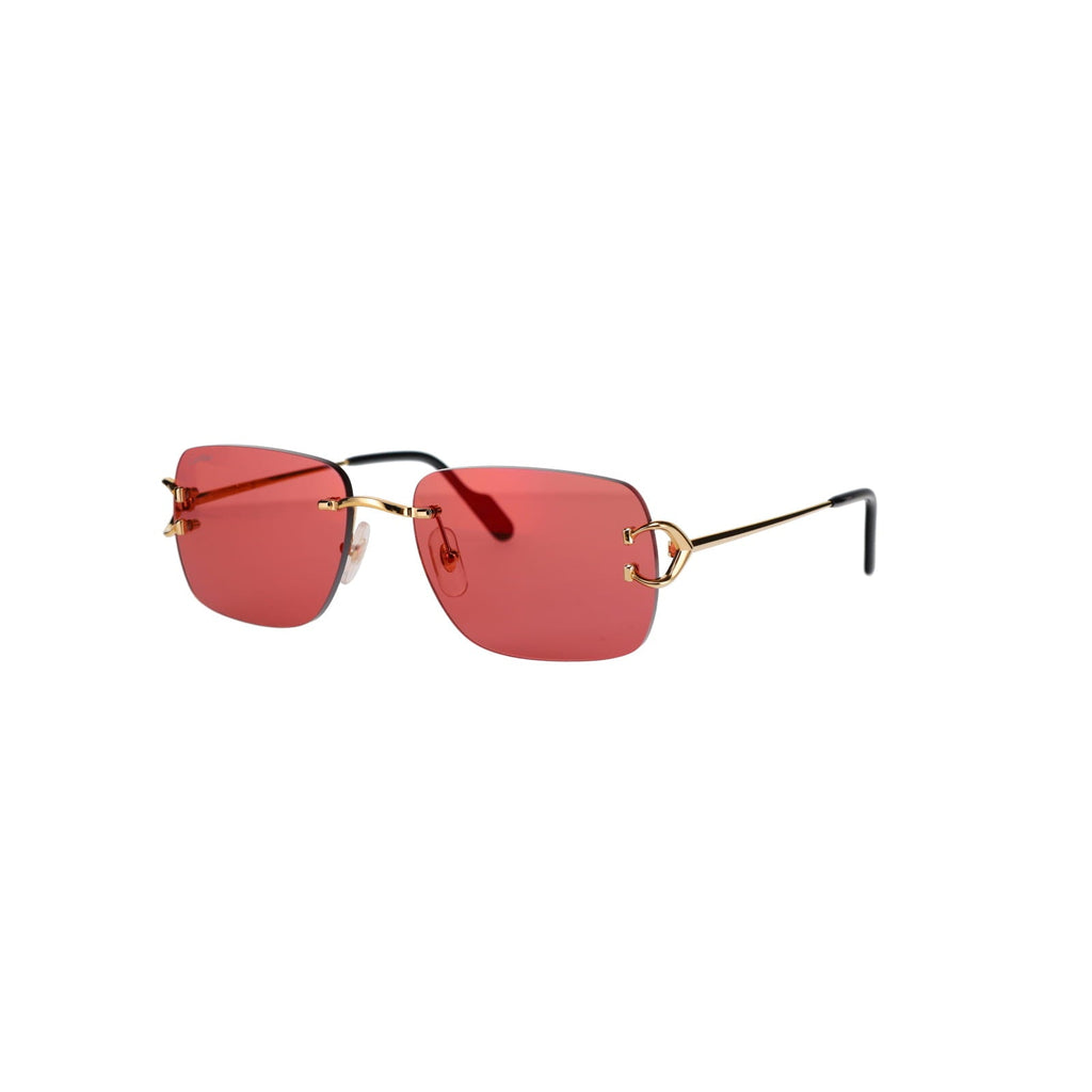 CT0330S Signature C  Sunglasses