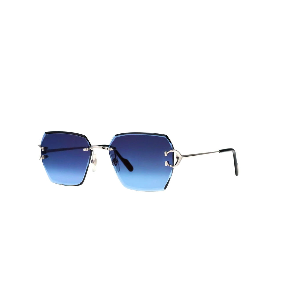 CT0466S  Signature C Sunglasses