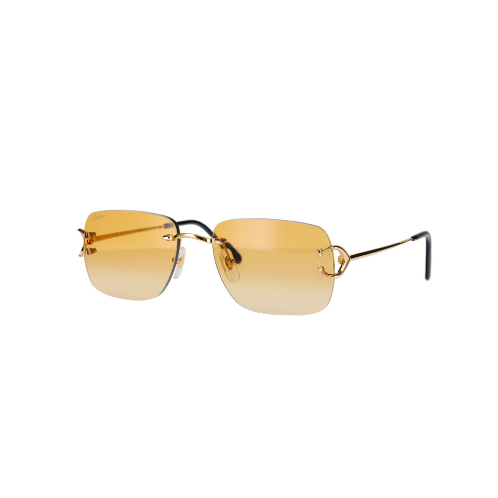 CT0330S Signature C  Sunglasses