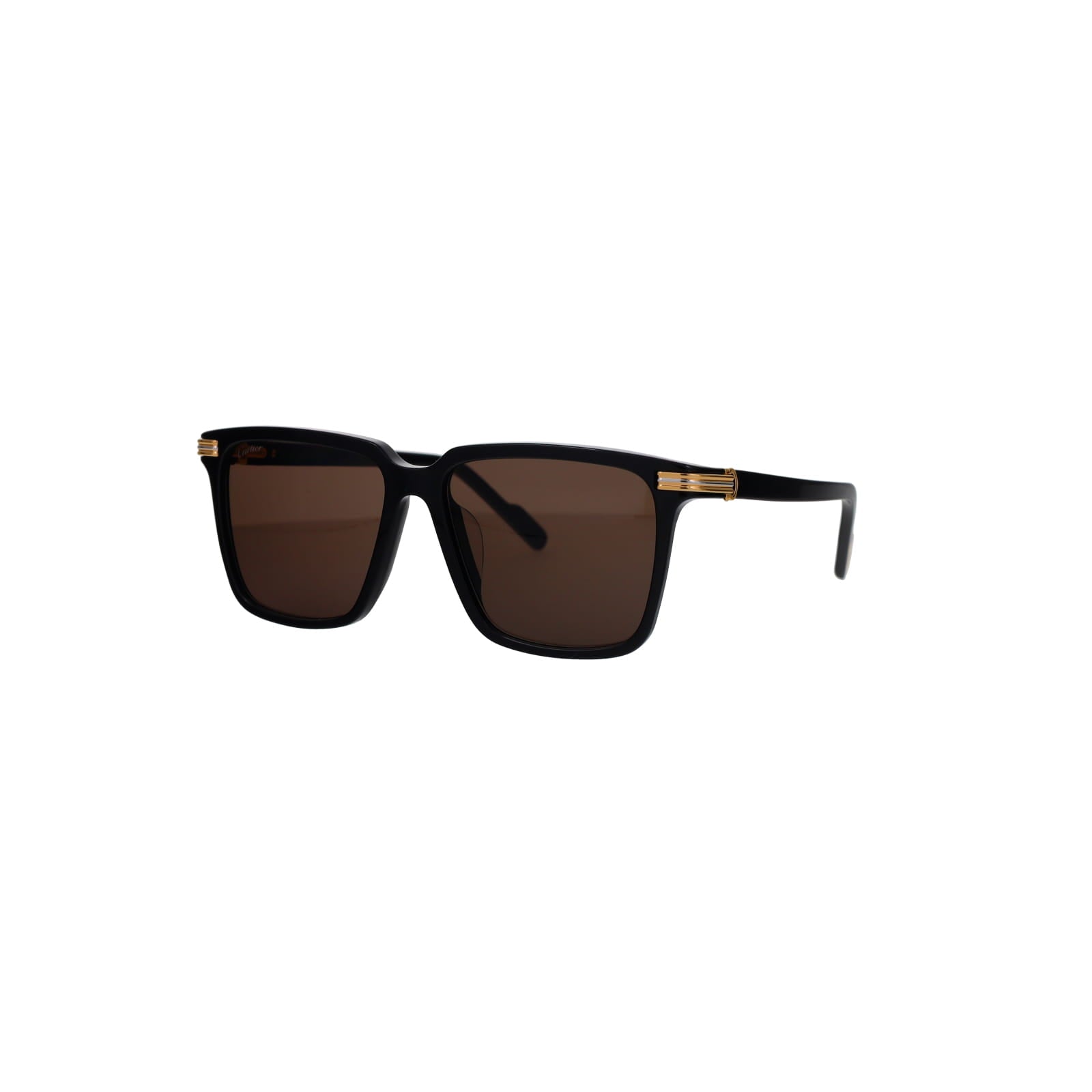 CT0366S Contemporary Acetate Sunglasses