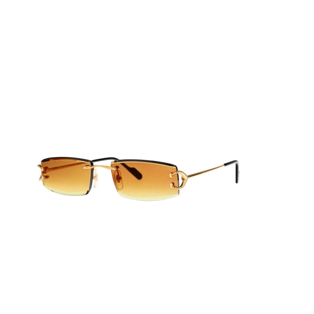 CT0465S Signature C  Rectangular Sunglasses