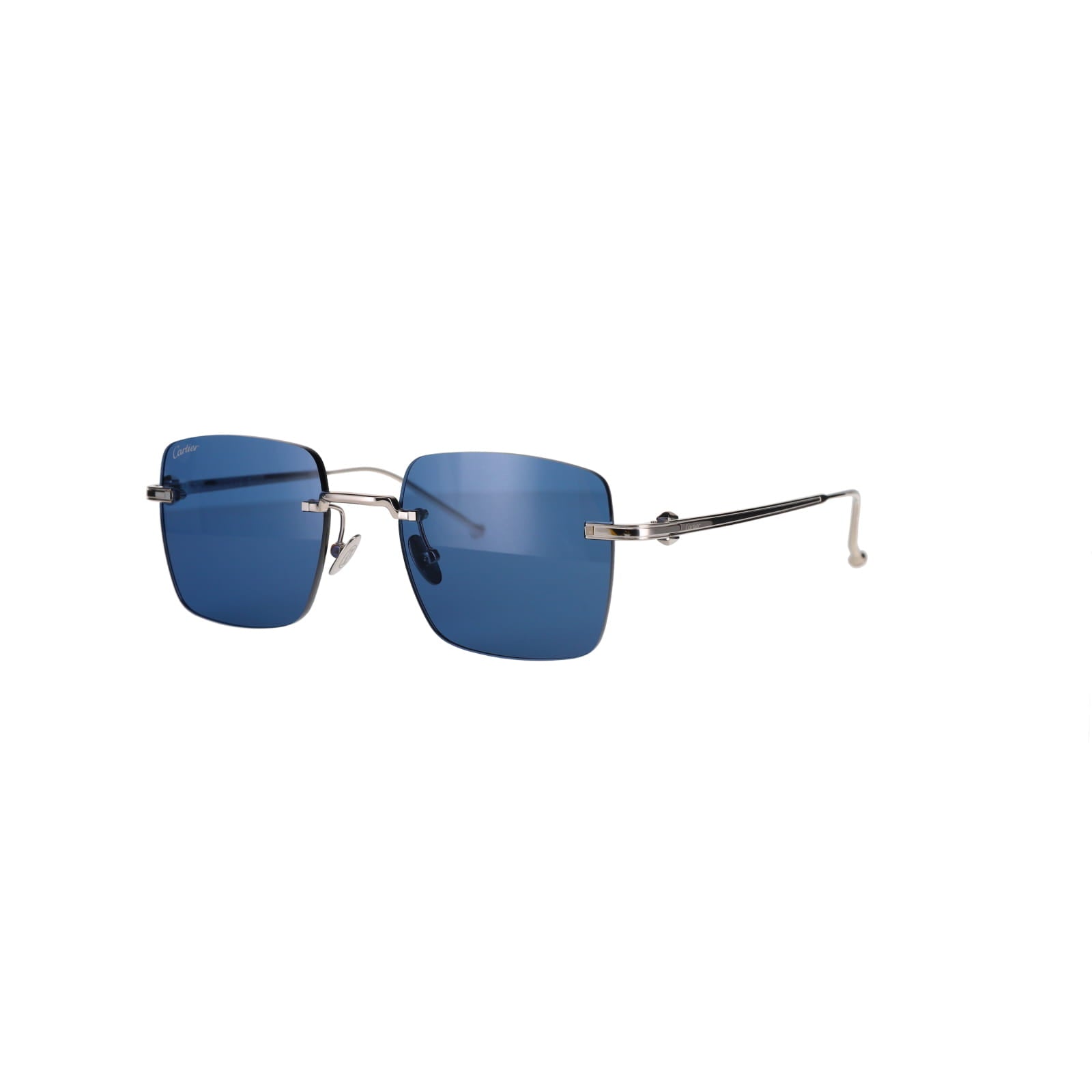 CT0403S Pasha Sunglasses