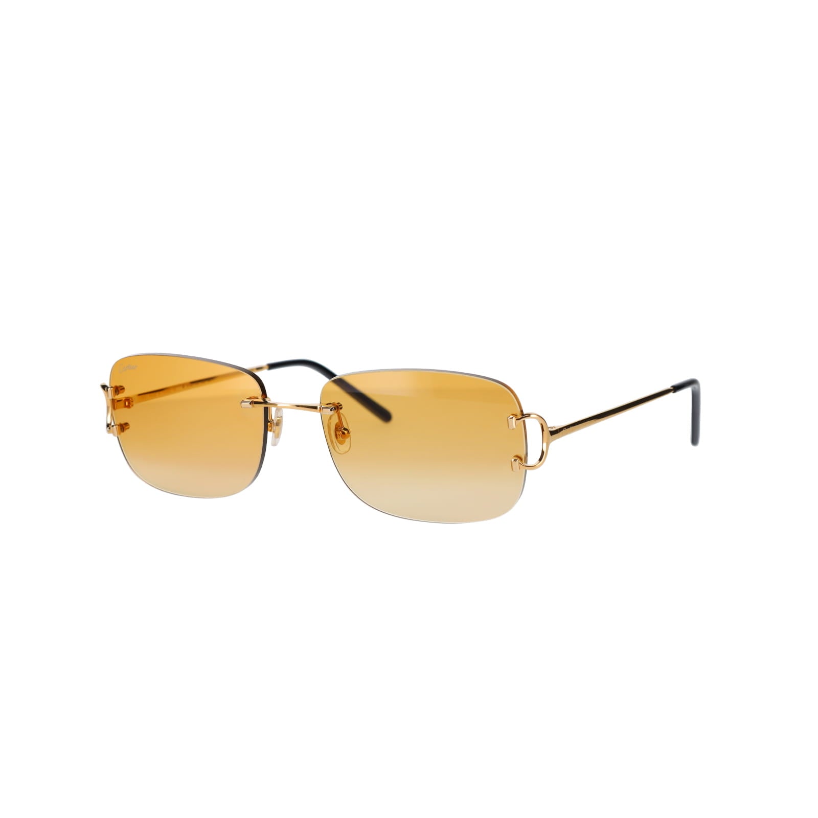 CT0011RS Signature C Sunglasses