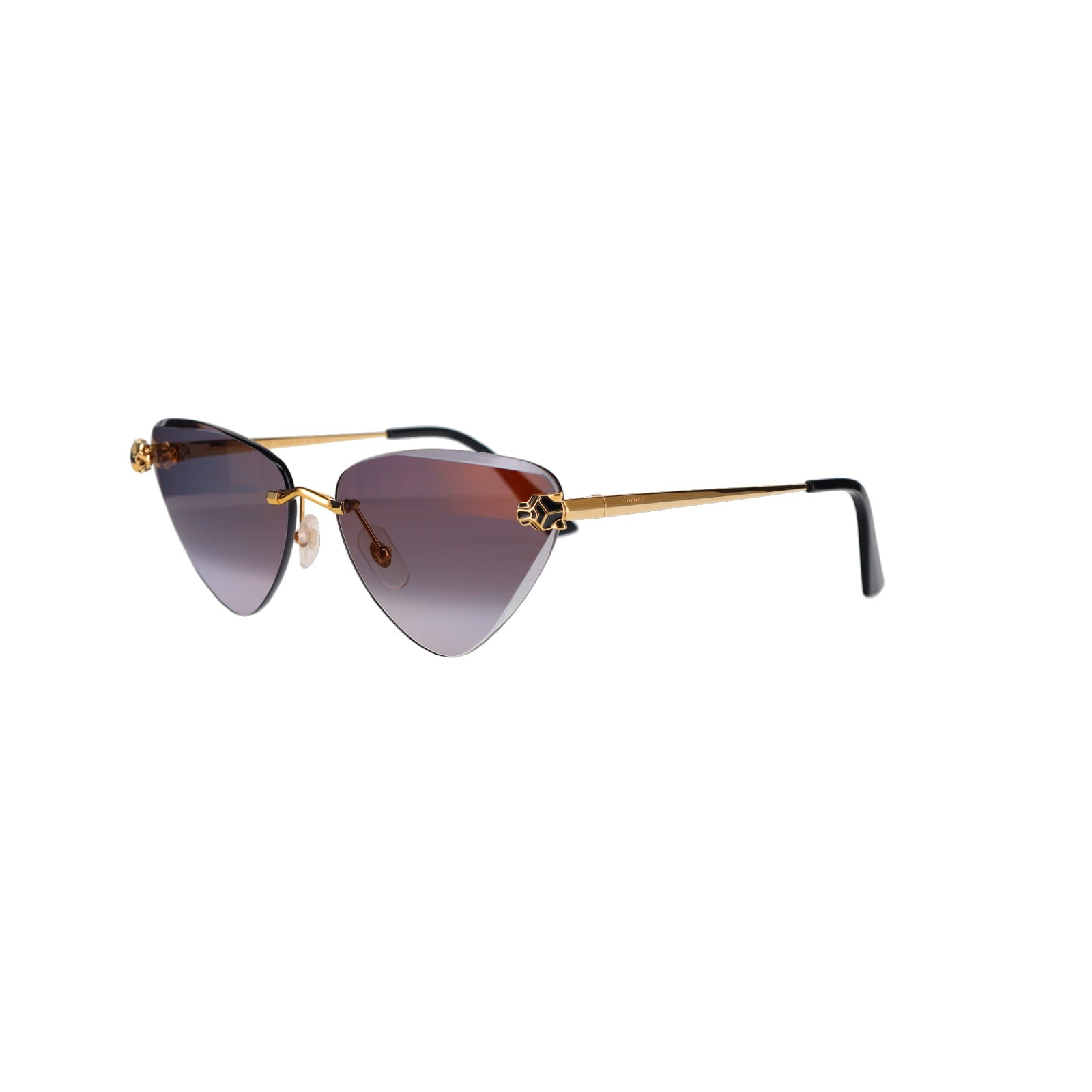 CT0399S Geometric Panthère Sunglasses