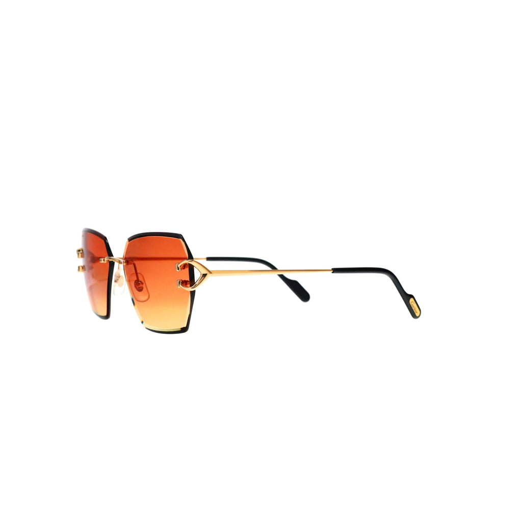 CT0466S  Signature C Sunglasses