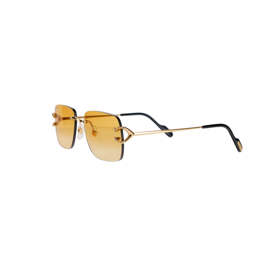 CT0330S Signature C  Sunglasses