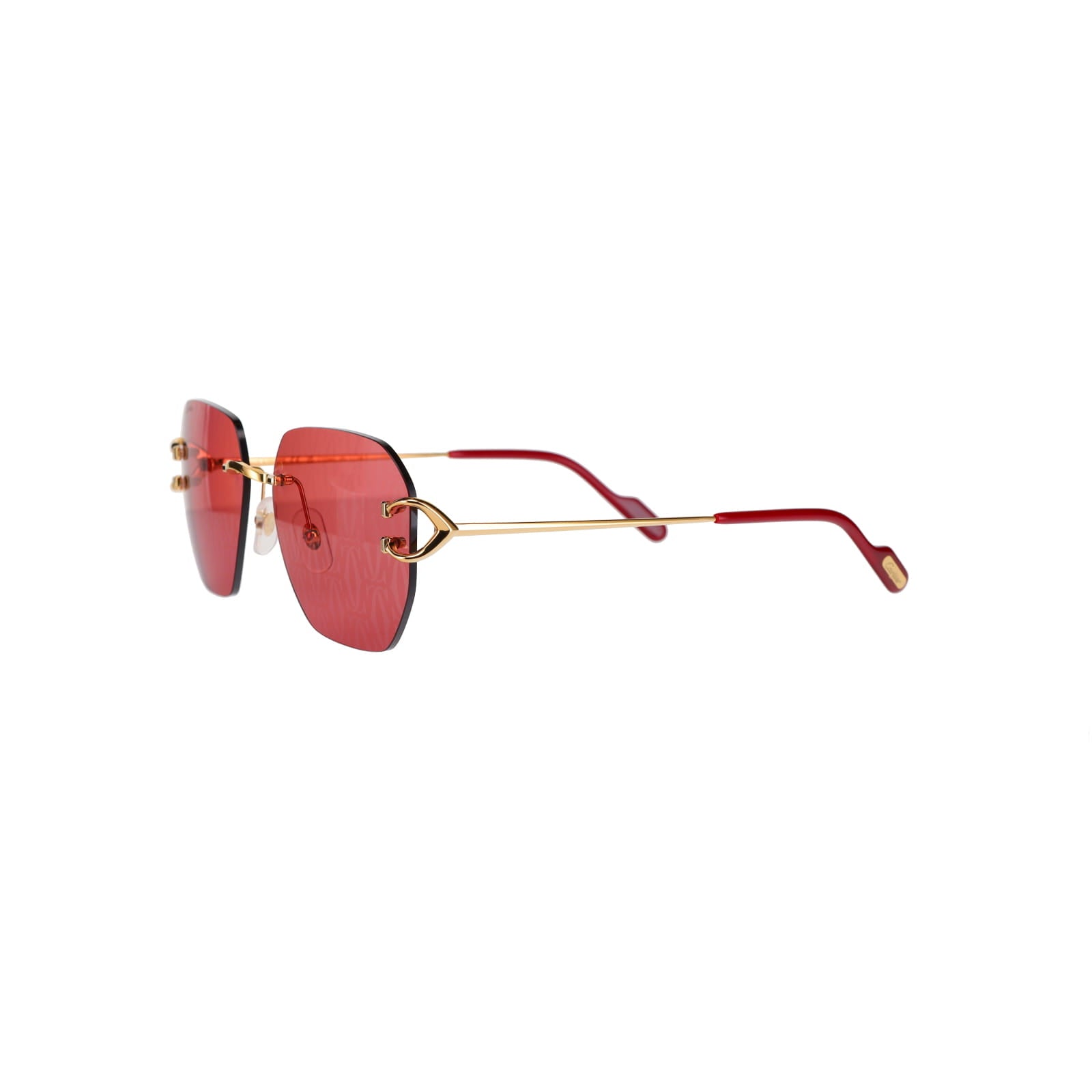 CT0394S Signature C Sunglasses