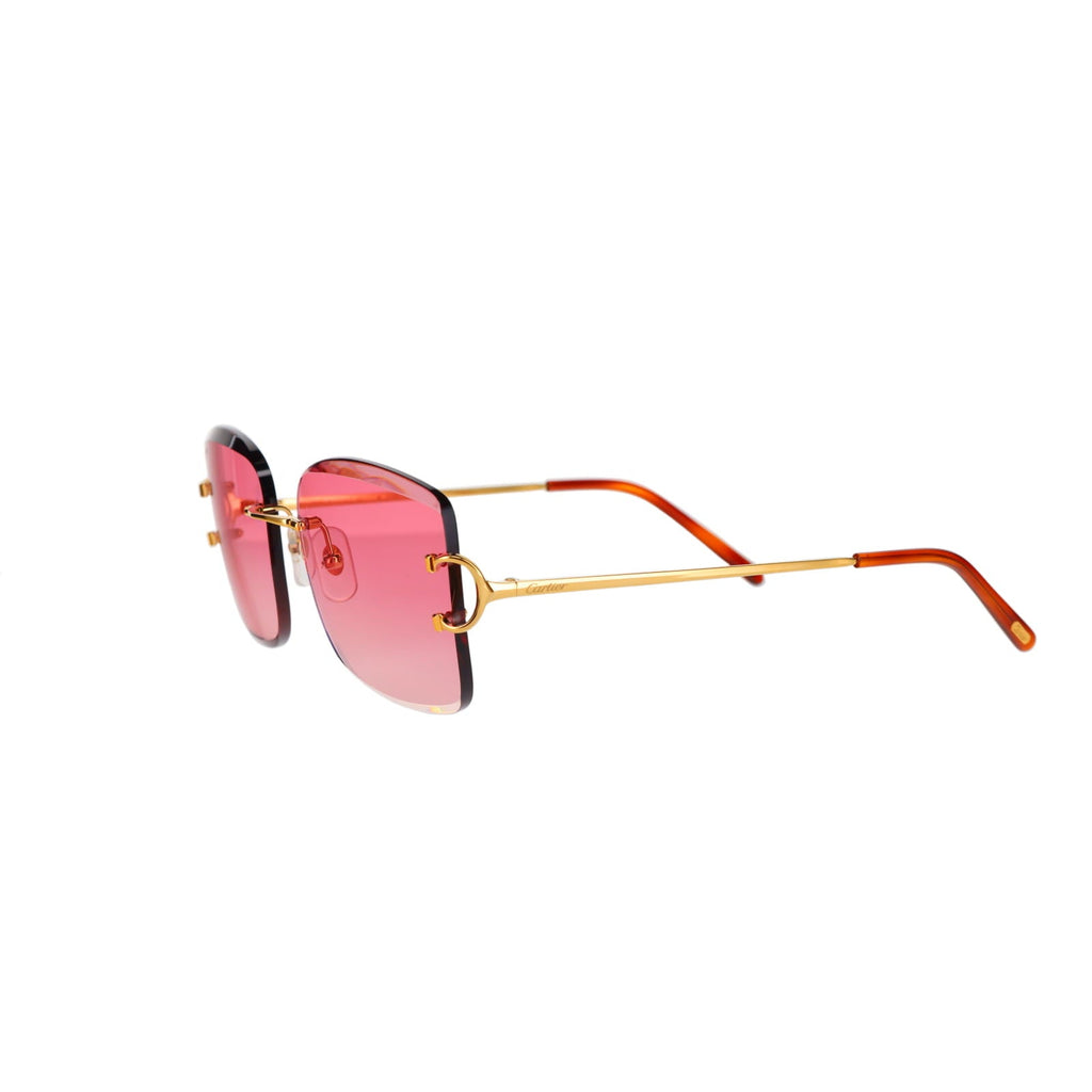 CT0007RS Signature C Sunglasses